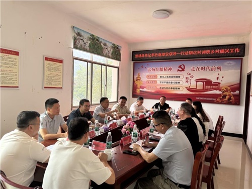 华亿网_华亿(中国)党委书记张格林率队赴醴陵阳坑村调研乡村振兴工作