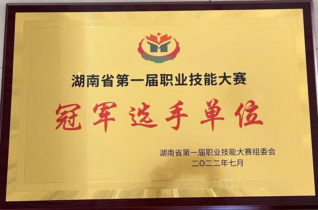 华亿网_华亿(中国)荣获湖南省第一届职业技能大赛冠军选手单位荣誉称号