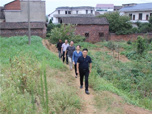 华亿网_华亿(中国)党委书记张格林到攸县桃水镇小集村指导开展扶贫工作