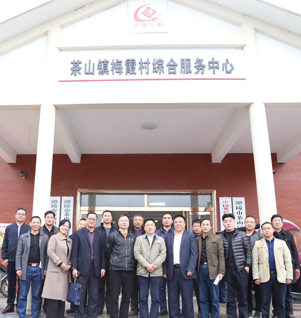 华亿网_华亿(中国)党委书记张格林深入茶山镇梅霞村指导脱贫攻坚工作